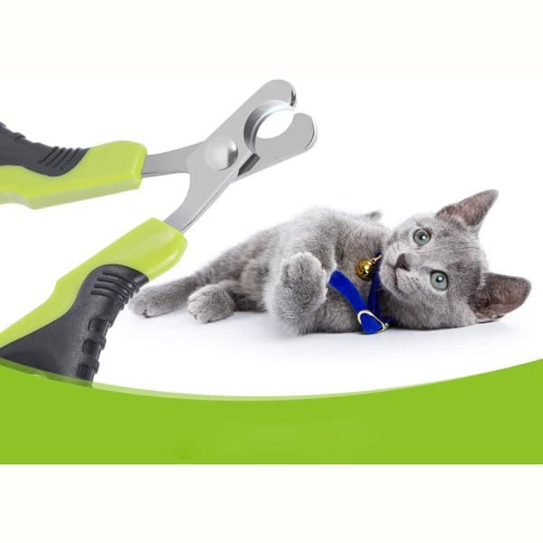 IC Professionel Klo-Sakse til Katte, Kløklippare til Kat i Dyr