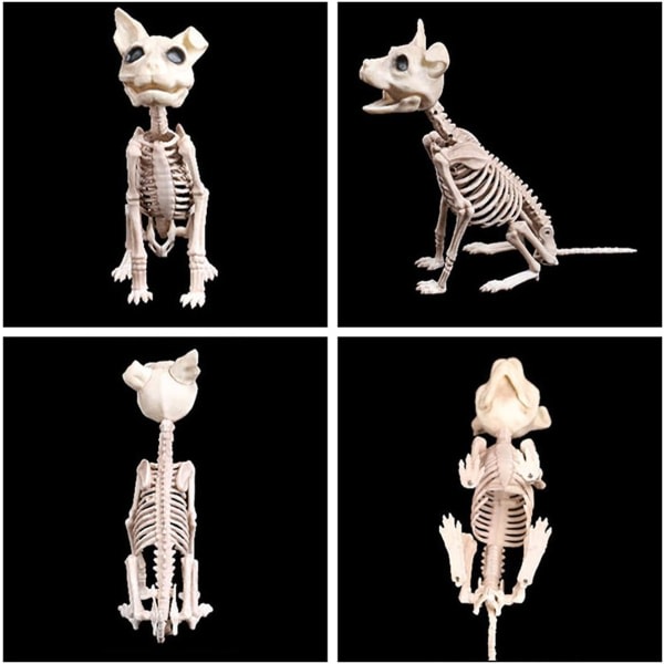 IC Halloween-dekorasjon, Halloween-skelettkatt, djur og naturlig størrelse Skelettkattben for hallowmas-dekoration Spökhusfest