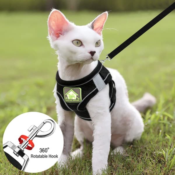 IC Kattehalsbånd Sele og Sæt Kitten Walking Escape