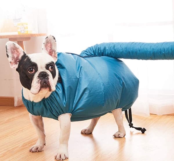 Pet - Dogs - Cats - Suitable - Large - Quick-drying - Comfort - Size - L - 10 - 20