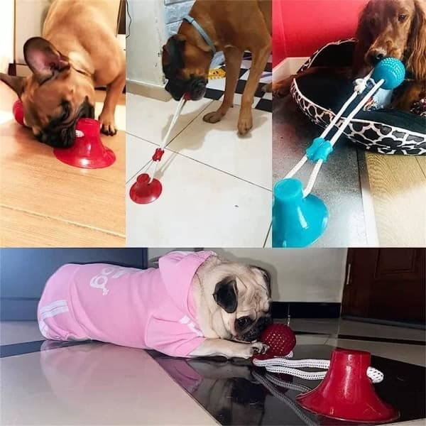 IC Husdjursleksak Valp Molar Bite Toy Elastiskt rep Hund Tuggtillbehör/B/ One Size