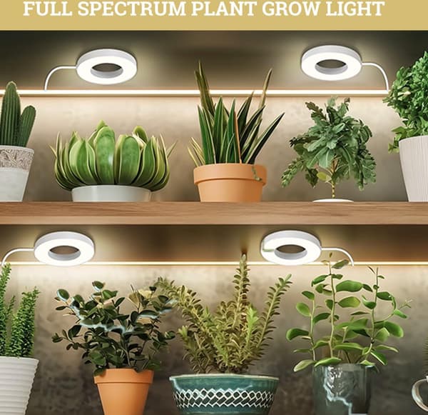 LED-vækstlys, fuldspektret dæmpbart plantelampe med 3/9/12H timer, 3 lysfarver, 192 LED'er, 4-pak til indendørs små planter