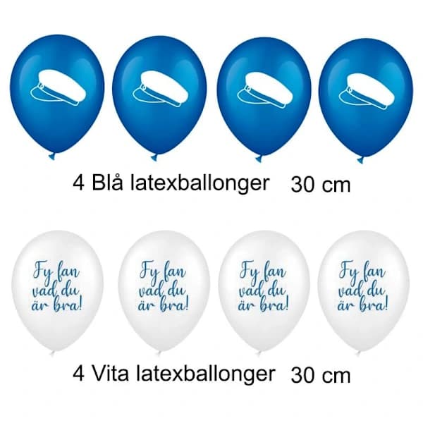 Student Decorations Student Party Package Balloons, Garlands, Graduation Decorations - Complete Set for Student Reception