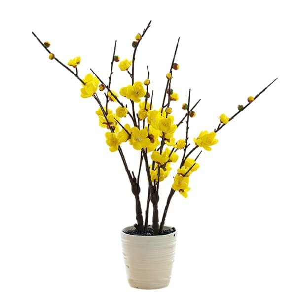 IC Stor gren Dobbel gaffel falsk plommeblomst potteblomst