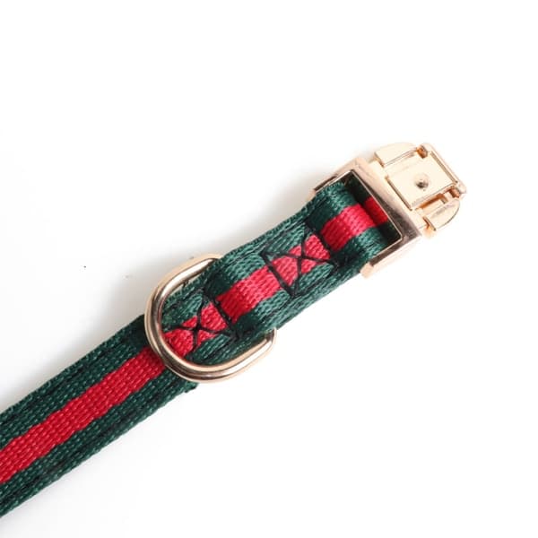 IC Premium hundhalsband, luksuriøst mykt komforthundhalsband, 35CM