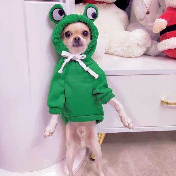 IC Husdjurskläder Hundhuvtröjor Varm Tröja Kappa Valp Höst Vinterkläder Jumpsuit med Huva, Groda, Storlek L