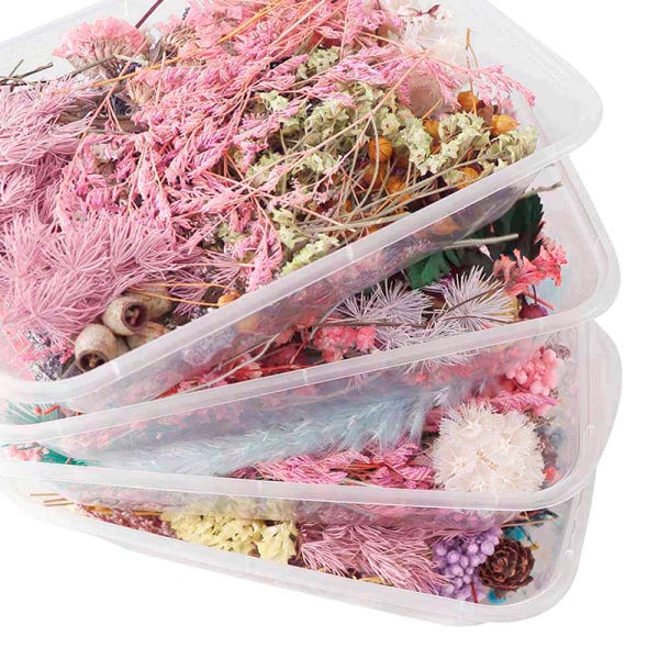 IC Torkade Blommor Naturlig Blomsterkonst Craft Scrapbooking Resin Smycke Flerfärgad 5Pcs