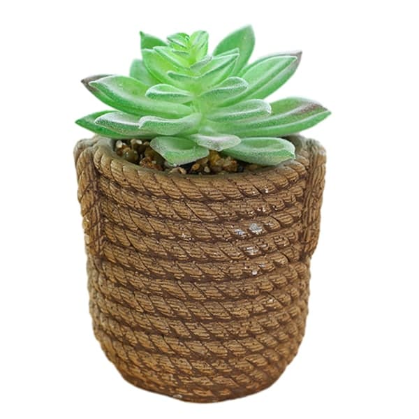 IC Falsk blomst simulering saftig stor bonsai mode kreativ