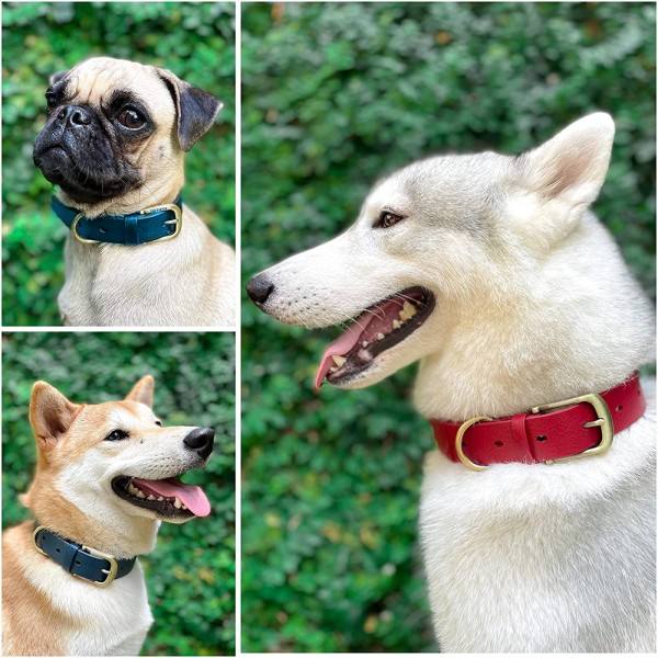 IC Starkare än läder Vattentätt & luktsäkert hundhalsband | blue