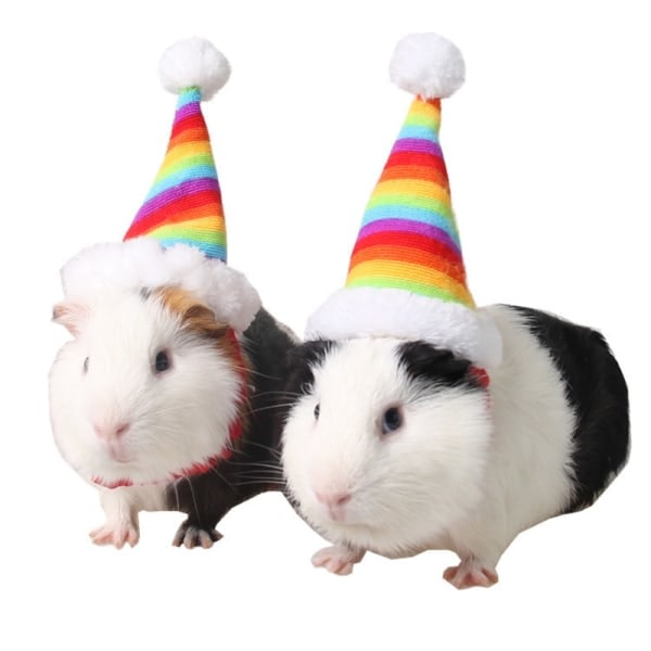 Julhatt för Husdjur - Tomteluva för Kanin, Hamster, Marsvin, Chinchilla, Igelkott, Kattunge