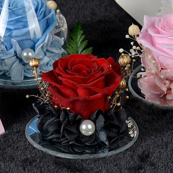 Engel Evig Blomst Rose Cover Feriegave Rose rød