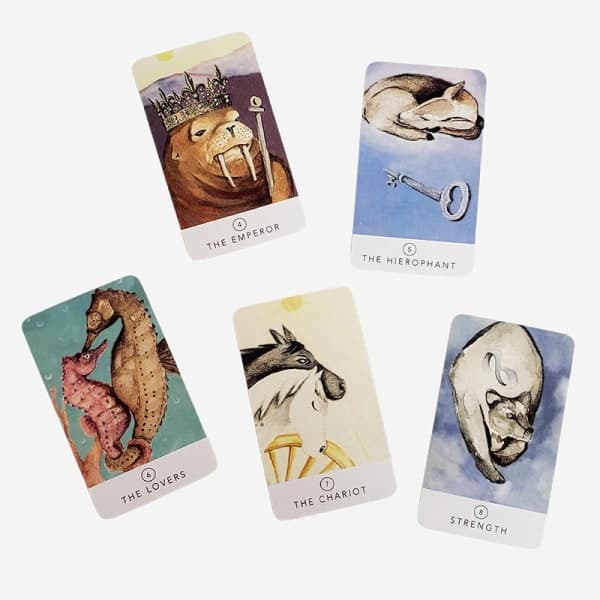 IC Vit Sage Tarot til familie, venner, fritid, fest, feriegave