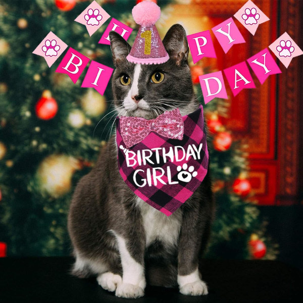 (Rosa) Cat Birthday Party Supplies, Cat Birthday Hat Pannband, Ca