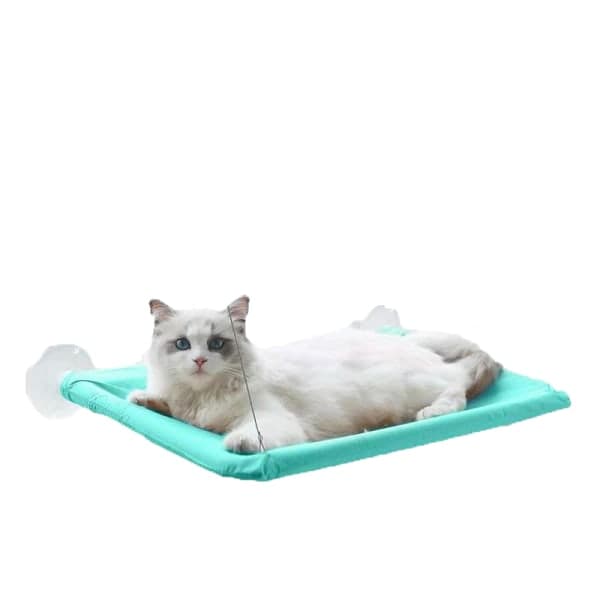 IC Husdjursmöbler Sugkopp för husdjurshängmatta mintgrön (55*35CM, replängd 56CM)