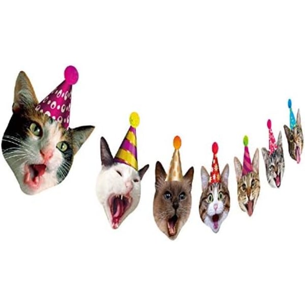 IC Födelsedag Cat Garland, Fotografi Cat Face Födelsedag Banner