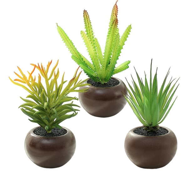 IC 3 stk. brun medium rund potte sukkulente potteplanter kreative