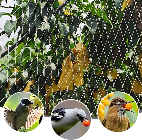 3 - m - 4 - Cats - Balcony Net - Cat Protection Net - Cat Net - Balcony - Multifunctional - Premium - Transparent - Easy - Assemble