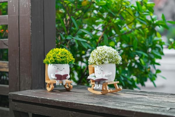 1 stk Ansiktsblomsterpotte - gyngestol - hvit - for sukkulenter - B