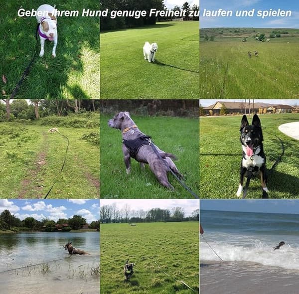 Hundesnor - 5m, lang træningssnor til hunde, perfekt til gåture, camping, træning, strand