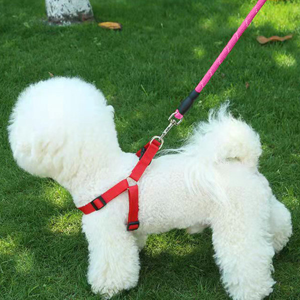 IG Husdjur leverer greb for hund som reflekterende sällskabshund pink