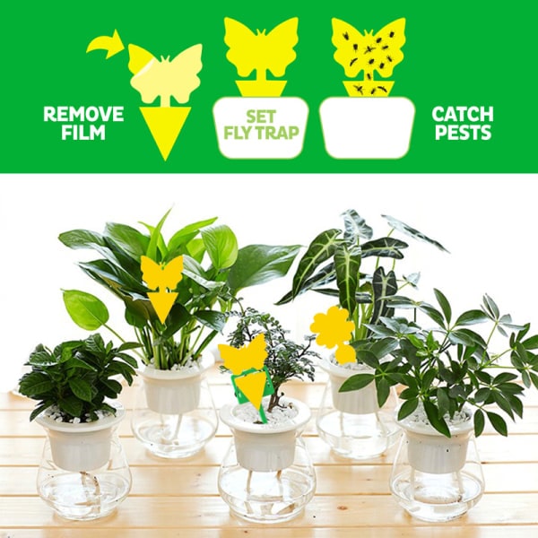 20-pack flugfällor - vackra blommor