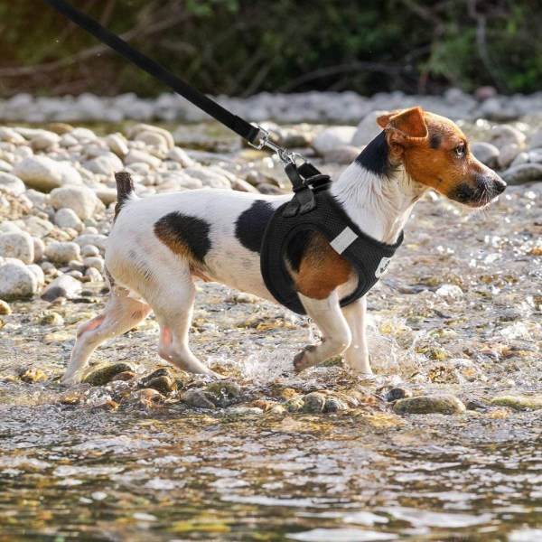 IC Lätt justerbar hund- och kattvagn, svart XS