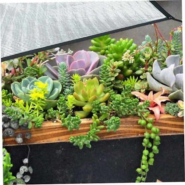 Solsejl Skyggenet Aluminiumfolie Skyggenet Markise Klud til Have Terrasse Blomsterplante UV-bestandig 1x2m