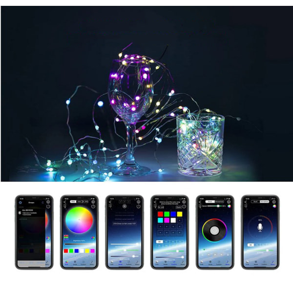 IC Plug-in String Lights LED Fairy Lights Fairy Lights til 33ft