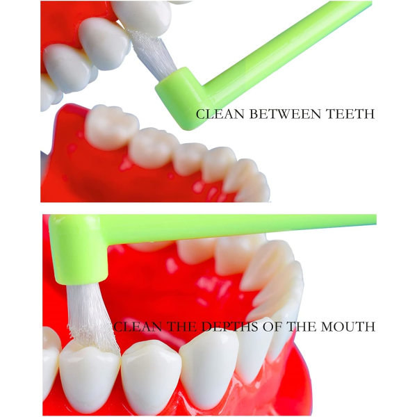3 kpl Tuft-hammasharjaa Interdental-harjasharja hammasrautoihin ja yksityiskohtaiseen puhdistukseen
