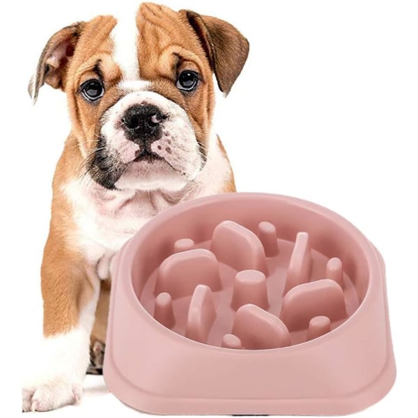 IC Slow Feeder Bowl,  Fun Interactive Feeder Bloat Stop Dog Bowl Preventing Feeder Anti Gulping Dricksvattenskål