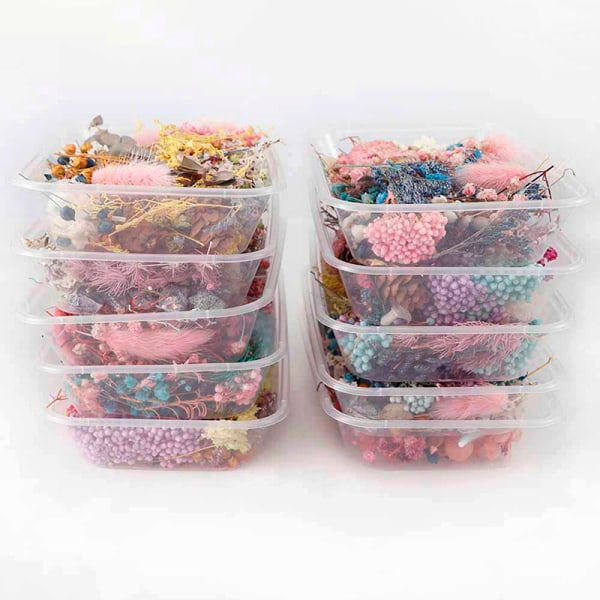 IC Torkade Blommor Naturlig Blomsterkonst Craft Scrapbooking Resin Smycke Flerfärgad 5Pcs