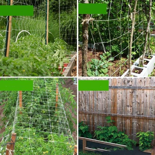 IC Nylon Mesh Trädgårdsbruk Crawl Net Vine Grow Holder Crawl Garde 1.67*5M