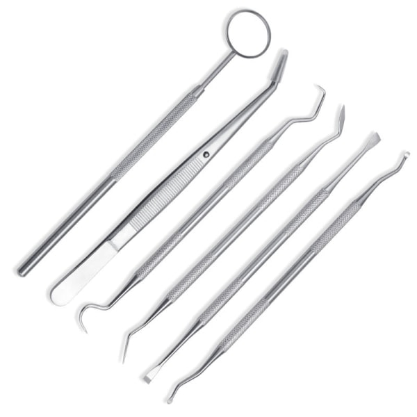 IC Professionellt Tandvårdssats i Rostfritt Stål 6-pack Silver
