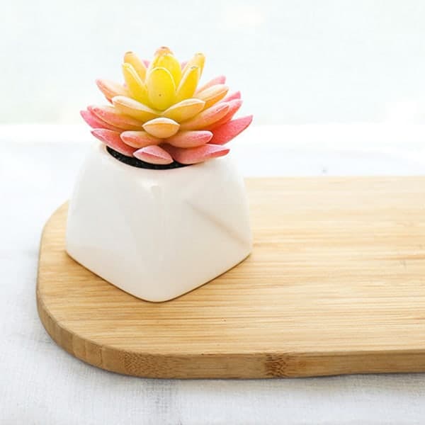 IC 3 stk simulerte sukkulente potteplanter, små grønne planter,