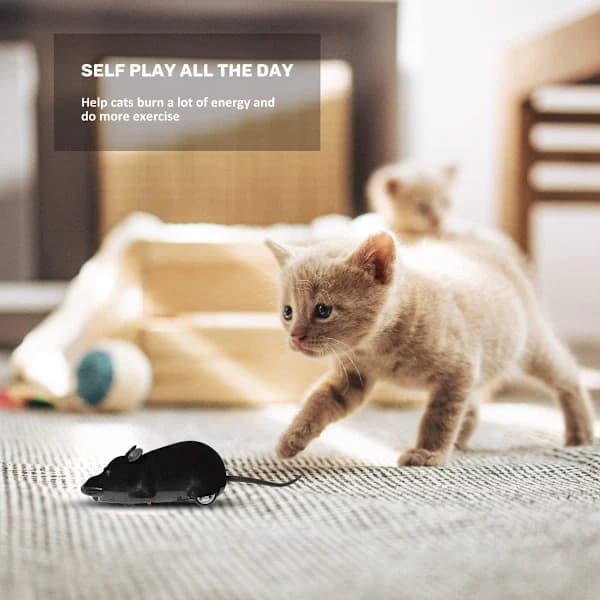 Remote Control Mouse Cat Toy, Interactive Moving Cat Toy Wireless Electronic RC Rat Mice Pet Toys