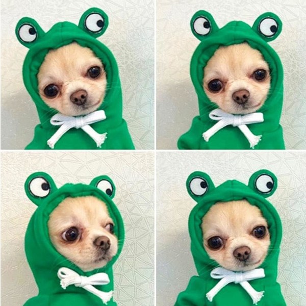 IC Husdjurskläder Hundhuvtröjor Varm Tröja Kappa Valp Höst Vinterkläder Jumpsuit med Huva, Groda, Storlek L