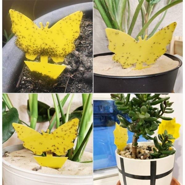 20-pack flugfällor - vackra blommor