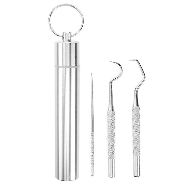 1 set tandpetare i rostfritt stål Bärbara tandokar Tänder Rengör verktyg Silver 6,5X1cm Silver 6.5X1cm IC