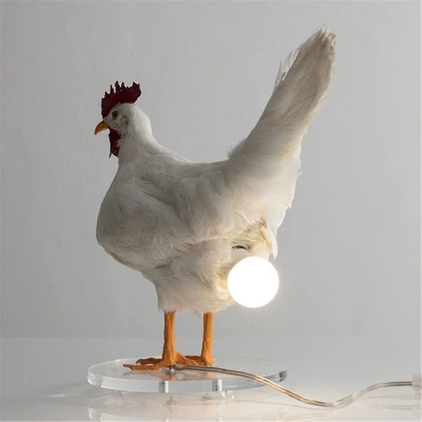 Rl Kylling Led Lampa Æg Natlampe Taxidermy Æg Skrivebordslampe