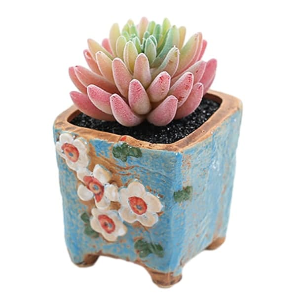 IC Simulering sukkulenter bonsai kreative ornamenter blomst middag