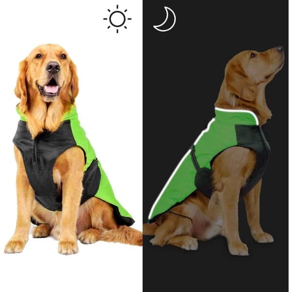IC Kostume, jakke til kæledyr (grøn 3XL)