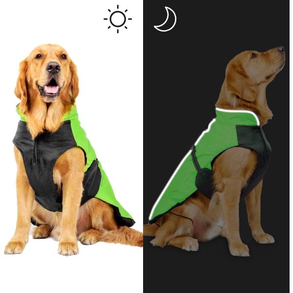 IC Kostym, jacka for husdjurskläder (grønn 3XL)