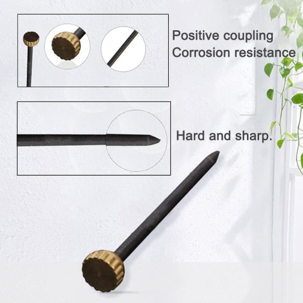 IC 120 kpl Kuvan ripustusnaulat Kuvakehyksen naula Mustat teräskynnet ja messinkiset päät Kuvakehyksen ripustuskoukut (1,4 * 25 mm)