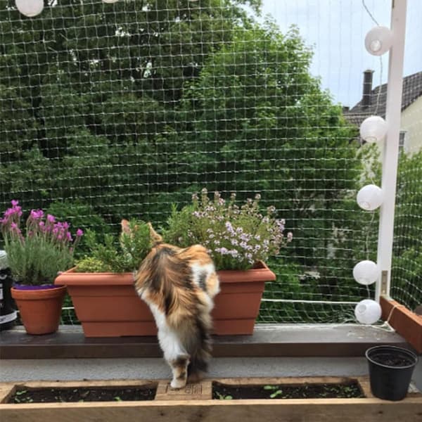 Balkon kattedyrnet - 3x2m - Kattenet - balkon - Let - montering - Kattehegnssystem - Beskyttelsesnet - Kat - eller - vindue - Hvid