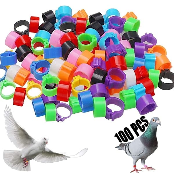 IC 100st Fågelfotsringar Plast Duva Identifieringsring 8mm