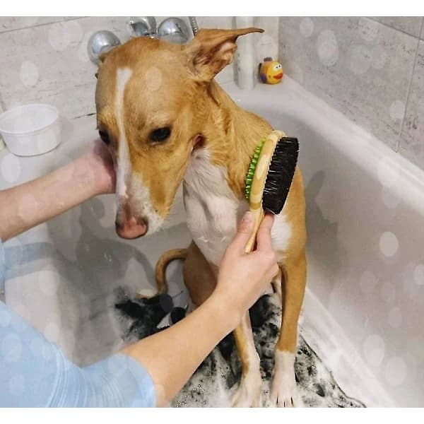 Dobbeltsidet gummimassagebørste til hunde- og kattepleje