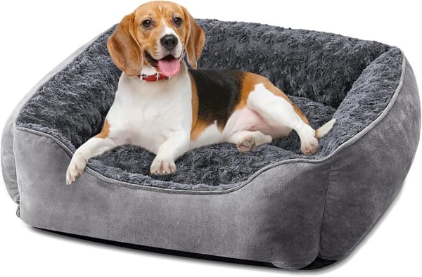 Medium Hundeseng, Vaskbar Rektangulær Hundeseng, Blød Plys Skridsikker Hundeseng Base, Medium Madras, Grå