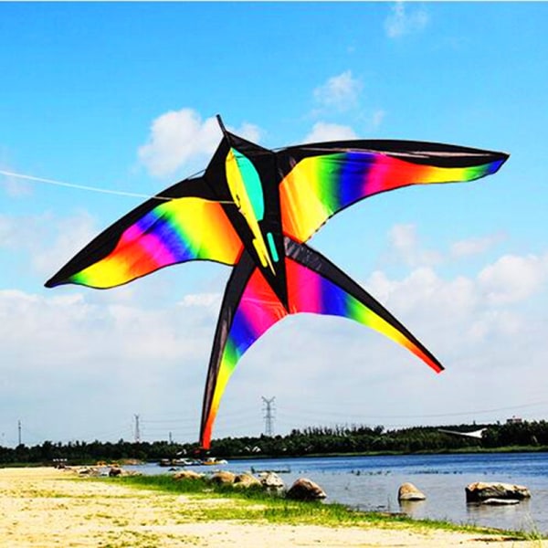 Regnbue Fugl Drager med Håndtag Line Nylon stof Swallow Kite