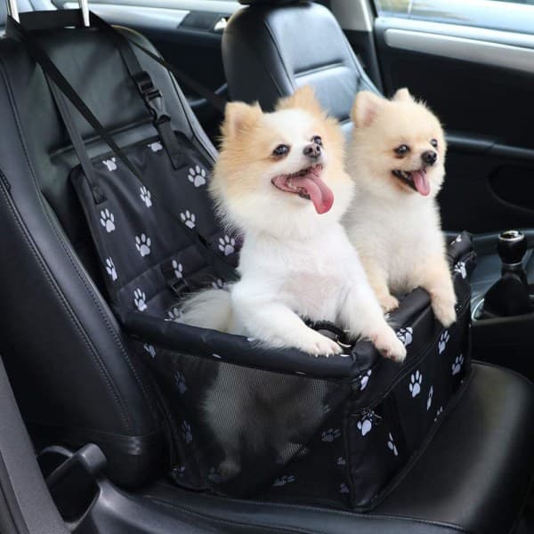 Hundesæde til bilbagsæde til små til mellemstore hunde - Sort