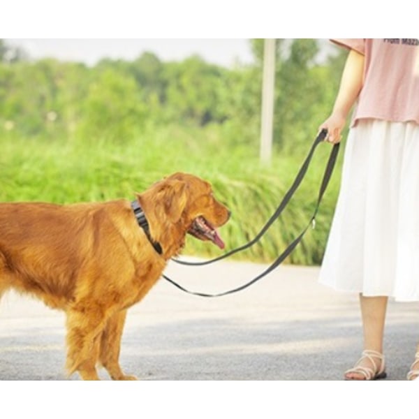 IC Nylon hundkoppel for små medelstora hundar, 10 fot 15 fot 20 fot 30 fot lång koppel hund/valp bly-4,5 M*2,5 cm rosa